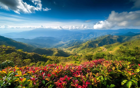 Mountain landscape at Doi Pha Tang in Chiangrai Province, Thailand.の写真素材