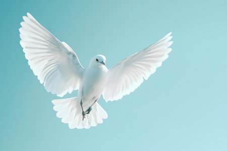 Flying white dove on blue sky background. Peace and freedom concept.の写真素材