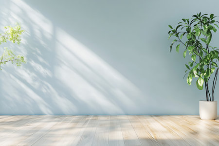 Interior of modern bright room with white walls, wooden floor and plant in pot.の写真素材