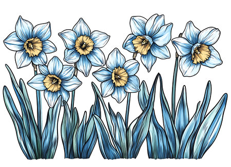 Narcissus flowers, sketch for your design. Vector illustrationの写真素材