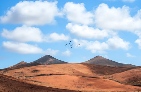 Landscape of volcanic mountains in Lanzarote, Canary Islands, Spainの写真素材