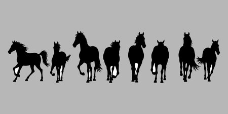 Horses silhouettes isolated on gray background. Vector illustration of horses.のイラスト素材
