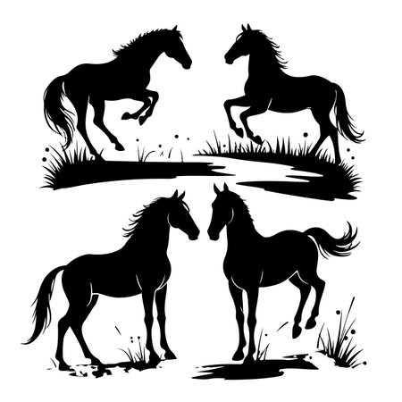 Horses, black silhouettes on white background. Vector illustration.のイラスト素材
