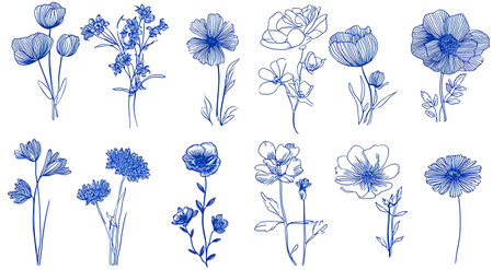 Vector set of hand drawn wildflowers on a white background.の素材