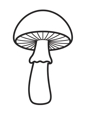Mushroom icon. Simple illustration of mushroom vector icon for webの写真素材