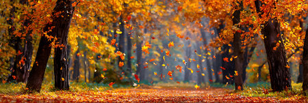 Autumn forest with falling leaves. Beautiful nature background. Fall seasonの写真素材