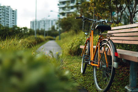 Bicycle parked on the bench in the park with green grass.の写真素材