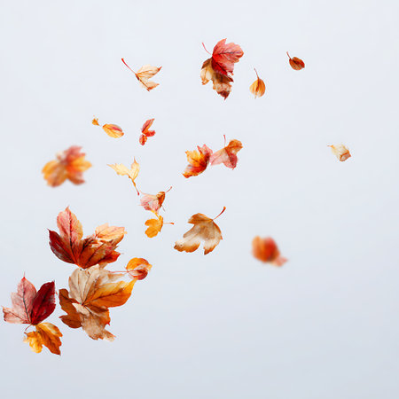 Autumn leaves flying in the air on a white background with copy spaceの写真素材