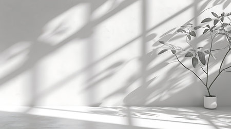 3d render of interior with plant in vase and shadow on wallの写真素材