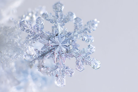 Macro shot of snowflake on white background with copy space.の写真素材