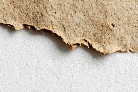 pieces of torn paper texture as background, copy space for text.の写真素材