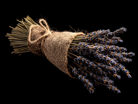 Bouquet of dried lavender flowers on a black background.の写真素材