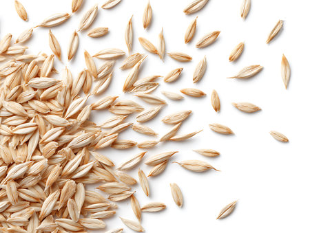 oat grains isolated on white background. Top view. Flat lay.の写真素材