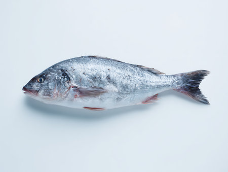 Fresh sea bass fish isolated on a white background. Studio shot.の写真素材