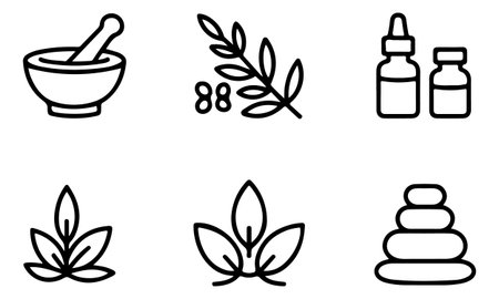 Spa icon set. Outline set of spa vector icons for web design isolated on white backgroundのイラスト素材