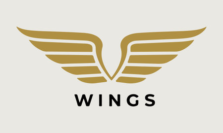 Wings  vector icon illustration design. Wings  design template.