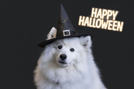 Happy Halloween greeting card with cute Samoyed dog in witch hat.の写真素材