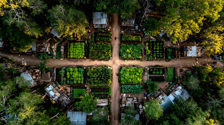 Aerial view of small wooden houses in tropical forest.の写真素材