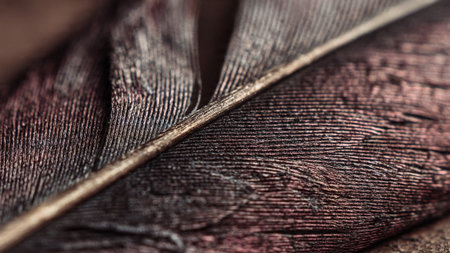 Macro shot of a brown feather with intricate texture and soft blurred backgroundの写真素材