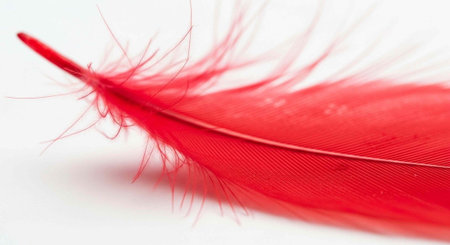 A close-up view of a vibrant red feather on a white backgroundの写真素材