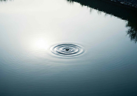 A serene body of water with a ripple effect from a dropped objectの写真素材