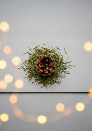 A festive pinecone surrounded by evergreen needles on a white background with warm glowing lightsの写真素材