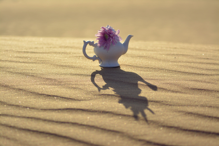 empty backgroundの写真素材