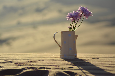 blurry backgroundの写真素材