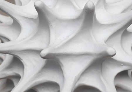 Spiky texture from a shellの写真素材