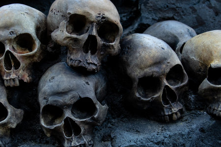 Closeup shot of skullsの写真素材