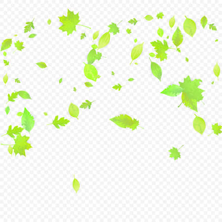 Leaves Falling. Spring Flying Foliage. Chaotic Green Leaf Flying On Transparent Background. Forest Design, Nature Elements. Ecology Vector Illustration. Environment Backdrop.のイラスト素材