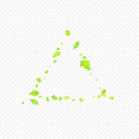 Leaves Falling. Spring Flying Foliage. Chaotic Green Leaf Flying On Transparent Background. Forest Design, Nature Elements. Ecology Vector Illustration. Environment Backdrop.のイラスト素材