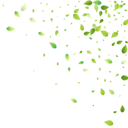 Leaves Green Falling. Spring Flying Foliage. Chaotic Leaf On White Background. Ecology Design, Nature Elements. Spring Sale Vector Illustration. Greenery Environment Backdrop.のイラスト素材
