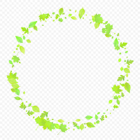 Leaves Falling. Spring Flying Foliage. Chaotic Green Leaf Flying On Transparent Background. Forest Design, Nature Elements. Ecology Vector Illustration. Environment Backdrop.のイラスト素材