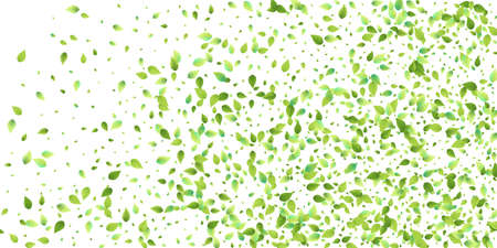 Leaves Green Falling. Spring Flying Foliage. Chaotic Leaf On White Background. Ecology Design, Nature Elements. Spring Sale Vector Illustration. Greenery Environment Backdrop.のイラスト素材