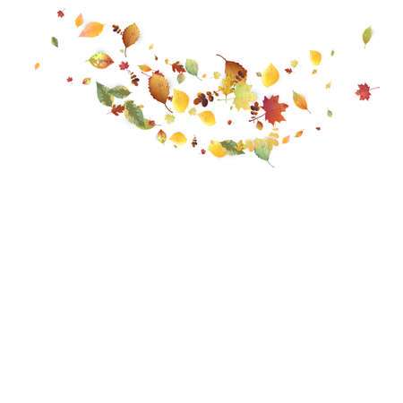 Leaves Falling. Autumn Flying Foliage. Chaotic Green, Yellow, Red Leaf Flying On White Background. Forest Design, Nature Elements. Ecology Vector Illustration. Environment Backdrop.のイラスト素材