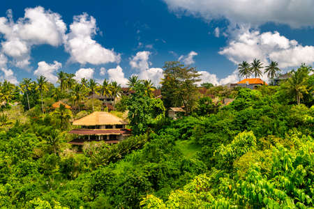 The walk on Tjampuhan's Sacred Hills. Ubud, Bali, Indonesia, 2018.のeditorial素材