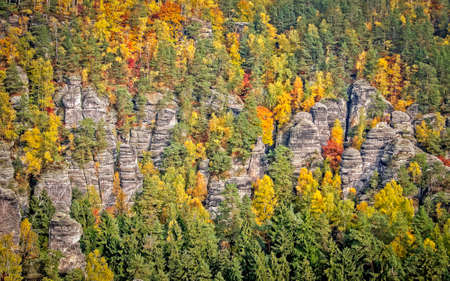 Autumn colors on the mountainside in Bastei national park in Germanyの写真素材
