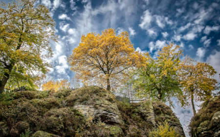 Autumn scene with domination of the yellow under the blue, some cloudy skyの写真素材