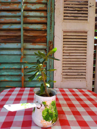 Cafe table with window and flowers in the street. heckered patternの写真素材