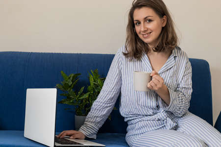 Woman using laptop personal computer on sofa. Work from homeの写真素材