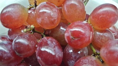 red grapes close upの写真素材