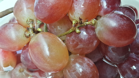red grapes close upの写真素材
