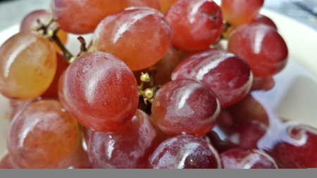 red grapes close upの写真素材