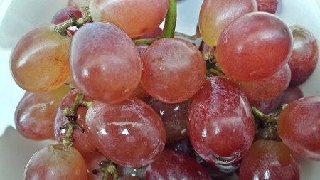red grapes close upの写真素材