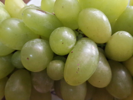 bunch green grapes on woodenの写真素材