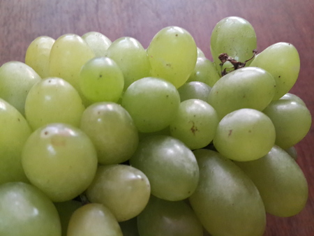 bunch green grapes on woodenの写真素材