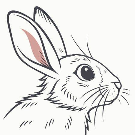 Vector image of a hare on a white background. Hand drawingのイラスト素材