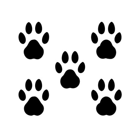 Paw Prints. Vector illustration. Isolated on white background.のイラスト素材