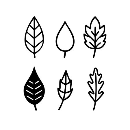 Leaf icon set. Collection of hand drawn leaves. Vector illustrationのイラスト素材